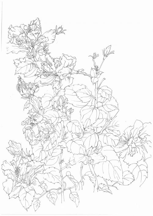 哪里可以制作巴西护照扫描件